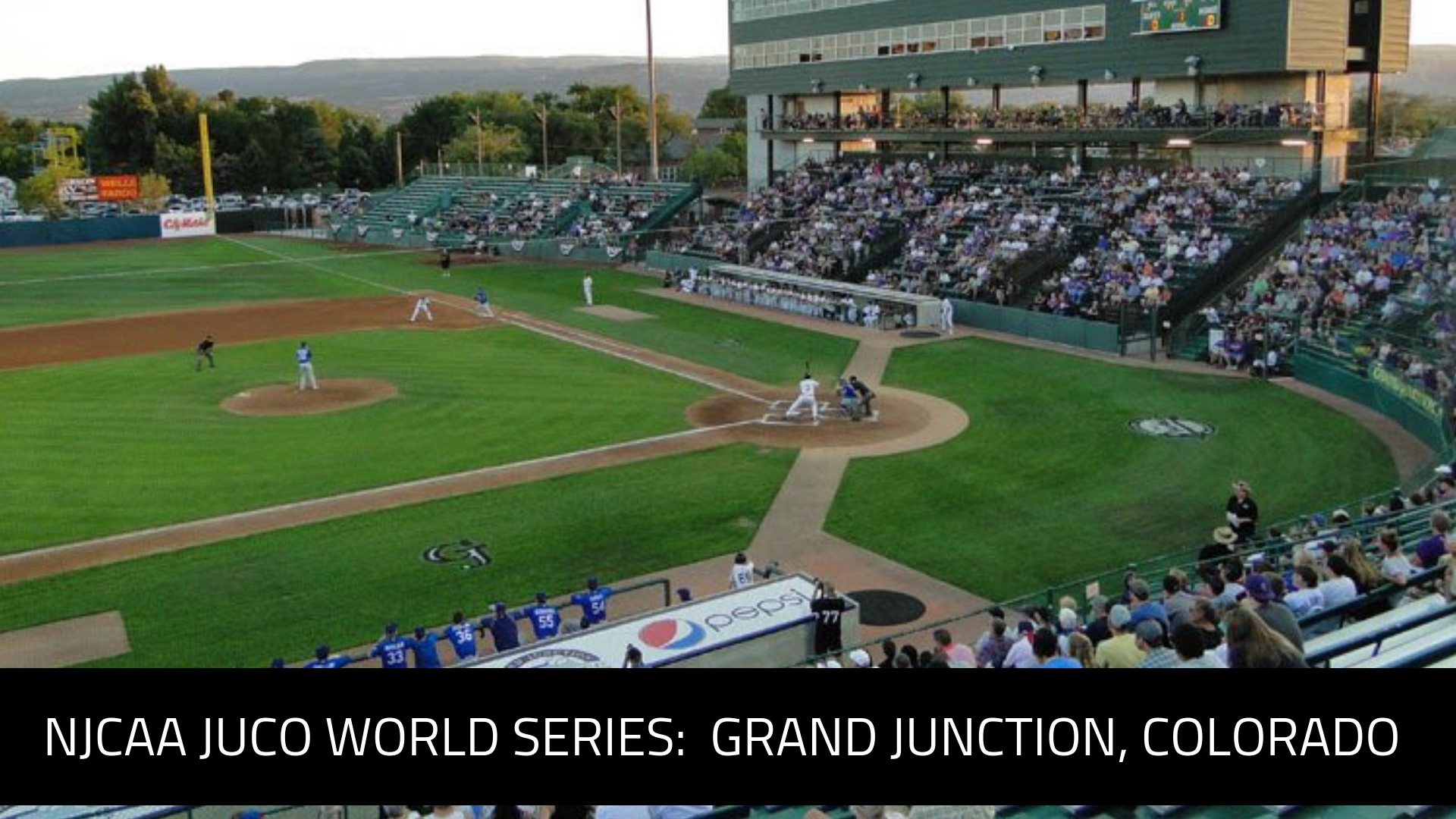 JUCO World Series Appearances