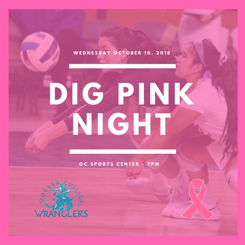 Volleyball to host Dig Pink Night