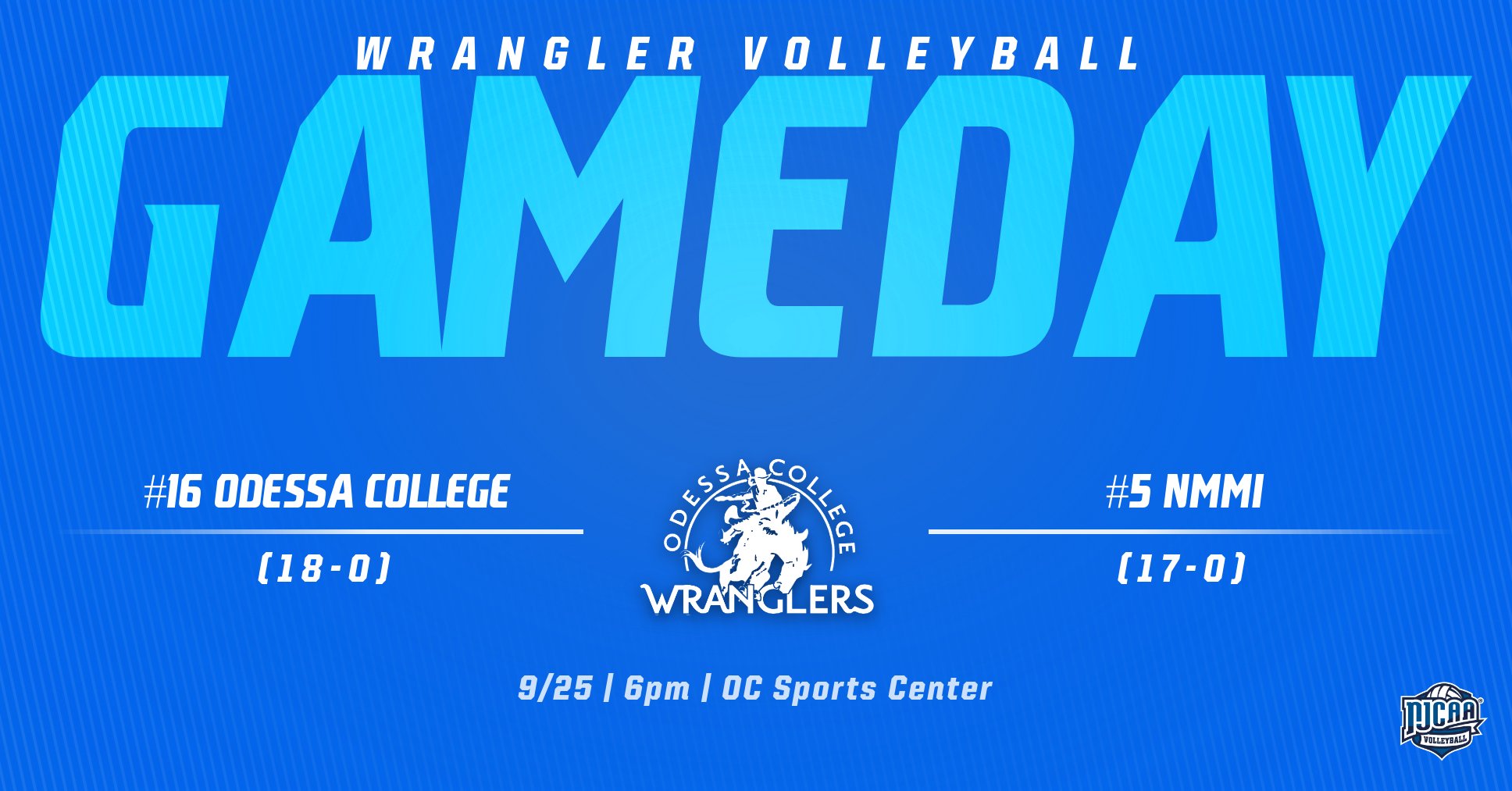 Volleyball opens WJCAC play at home in showdown of Undefeated Teams