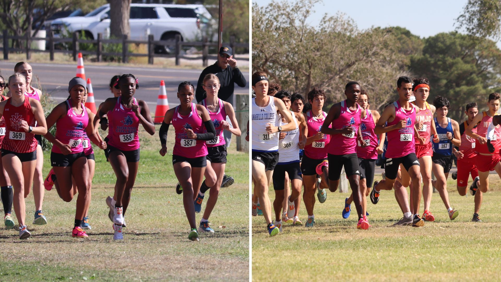 Cross Country Set to Compete at NJCAA D1 National Championship