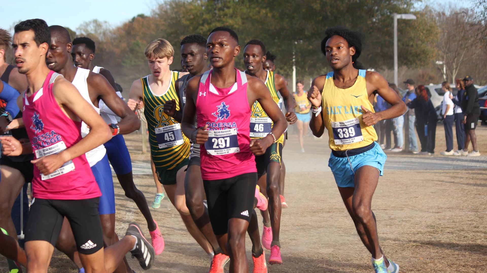 Men's Cross Country Places 8th at National Championship